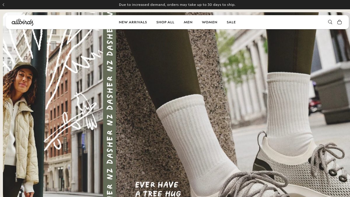 Allbirds 官网首页截图